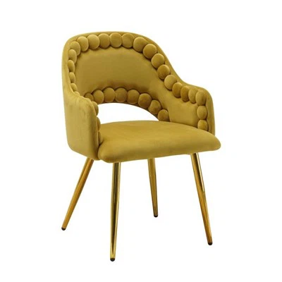 Luxurious Interior Dining Chair